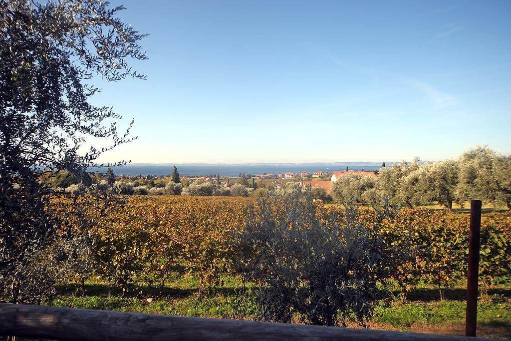 Appartamenti Bellavista Бардолино Экстерьер фото